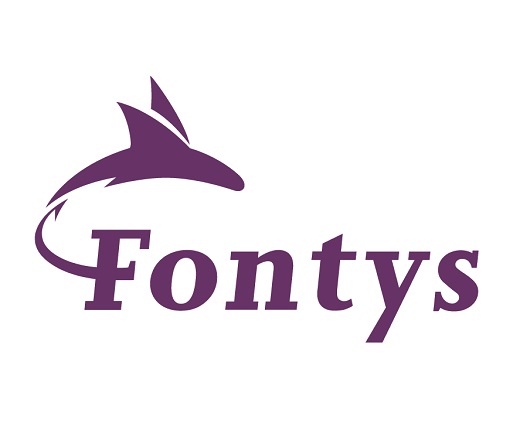 Fontys University