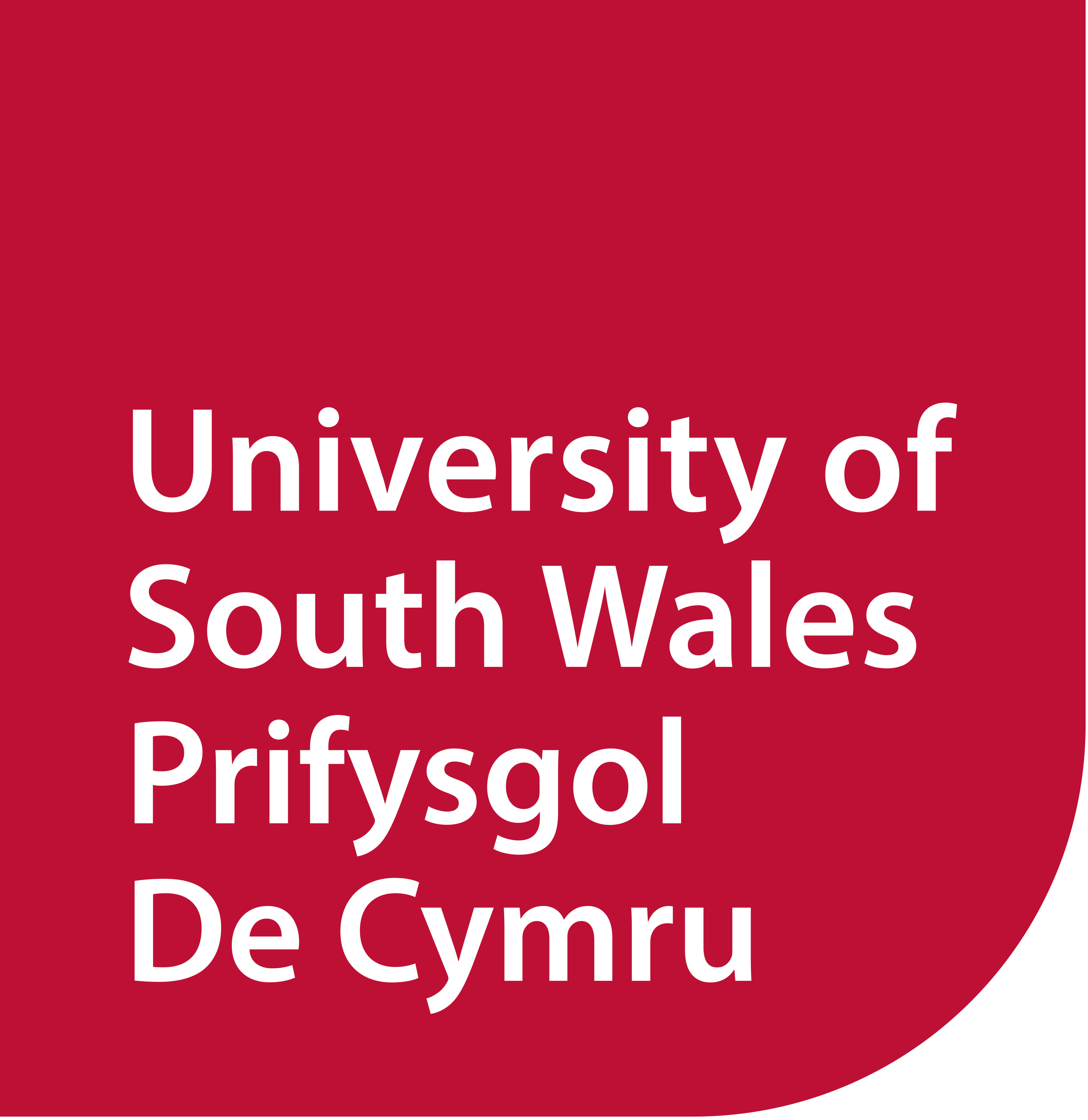 University of South of Wales