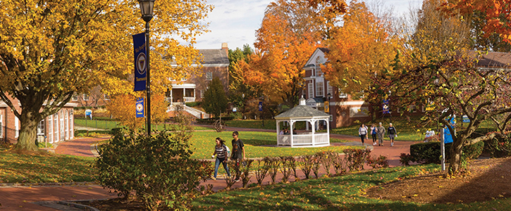 Western New England University