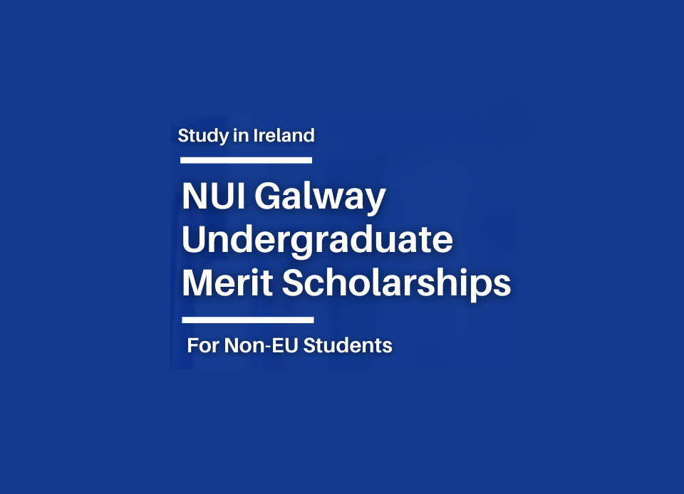 Undergraduate Merit Scholarship